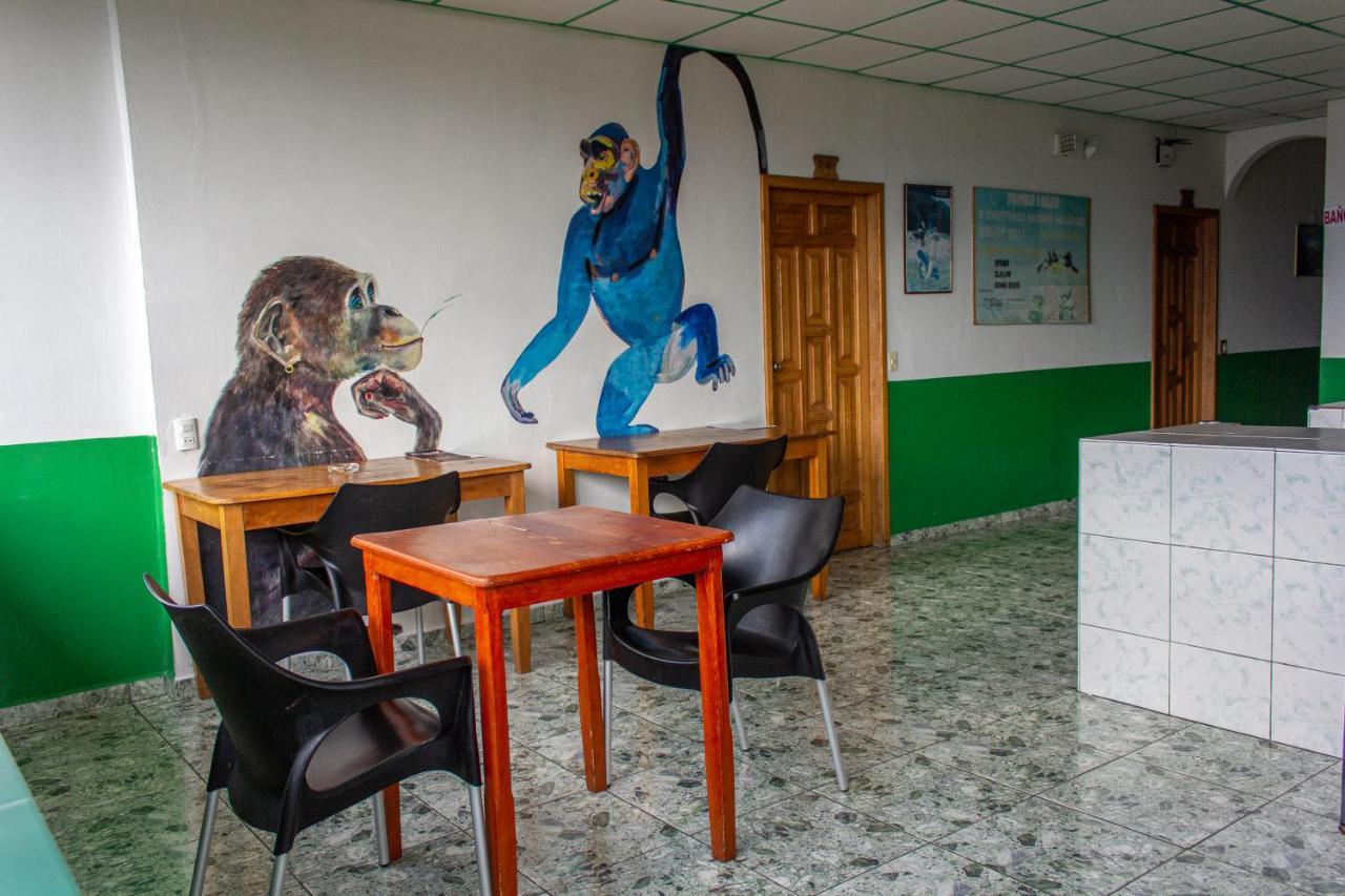 Hostal Limoncocha Тена Екстер'єр фото